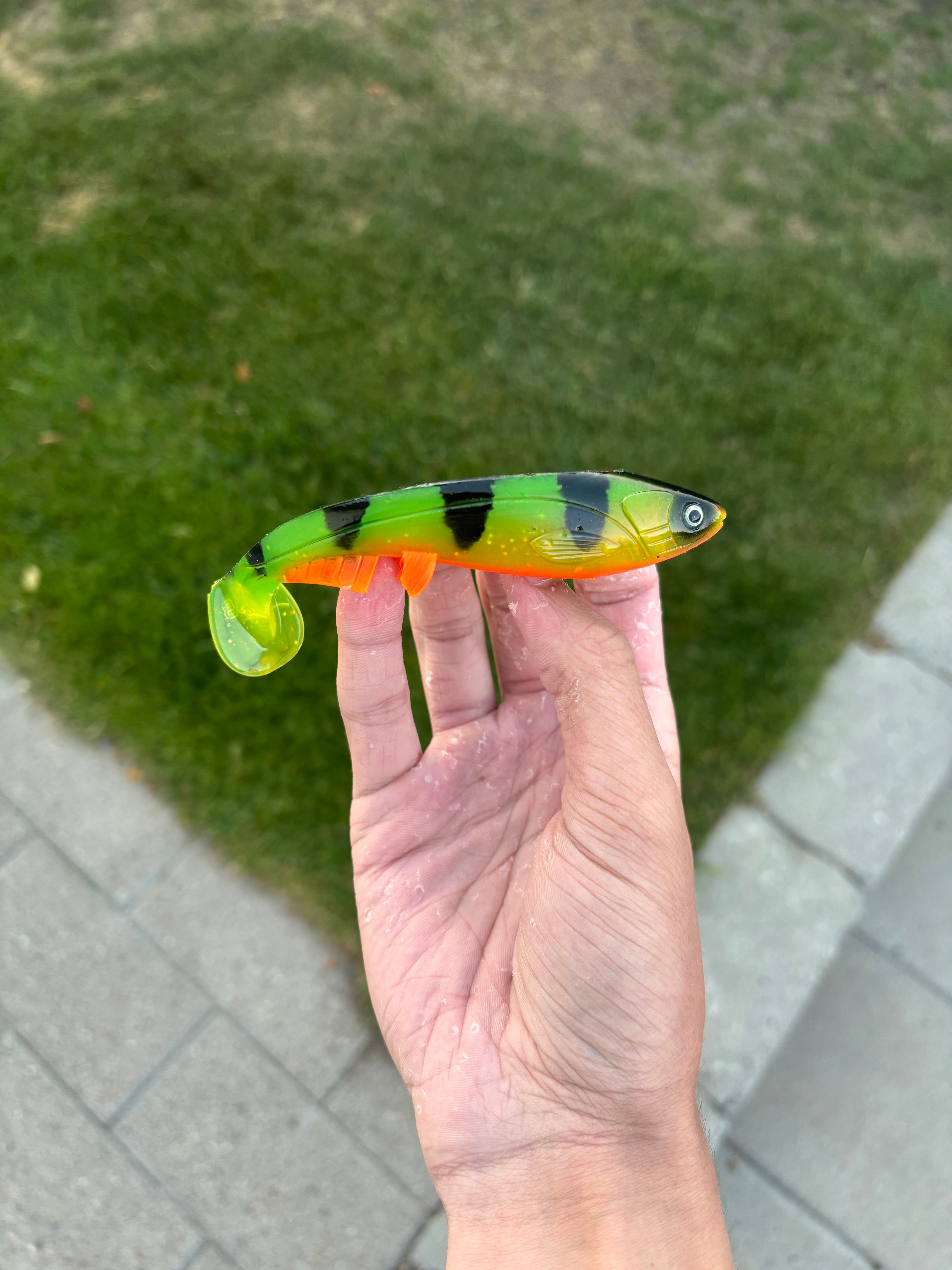 Jolt Mini (Toxic Perch)