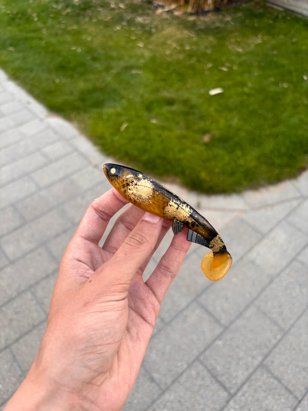 Jolt Mini (Spotted Bullhead)