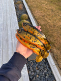 Grim v2 (Gold Burbot)