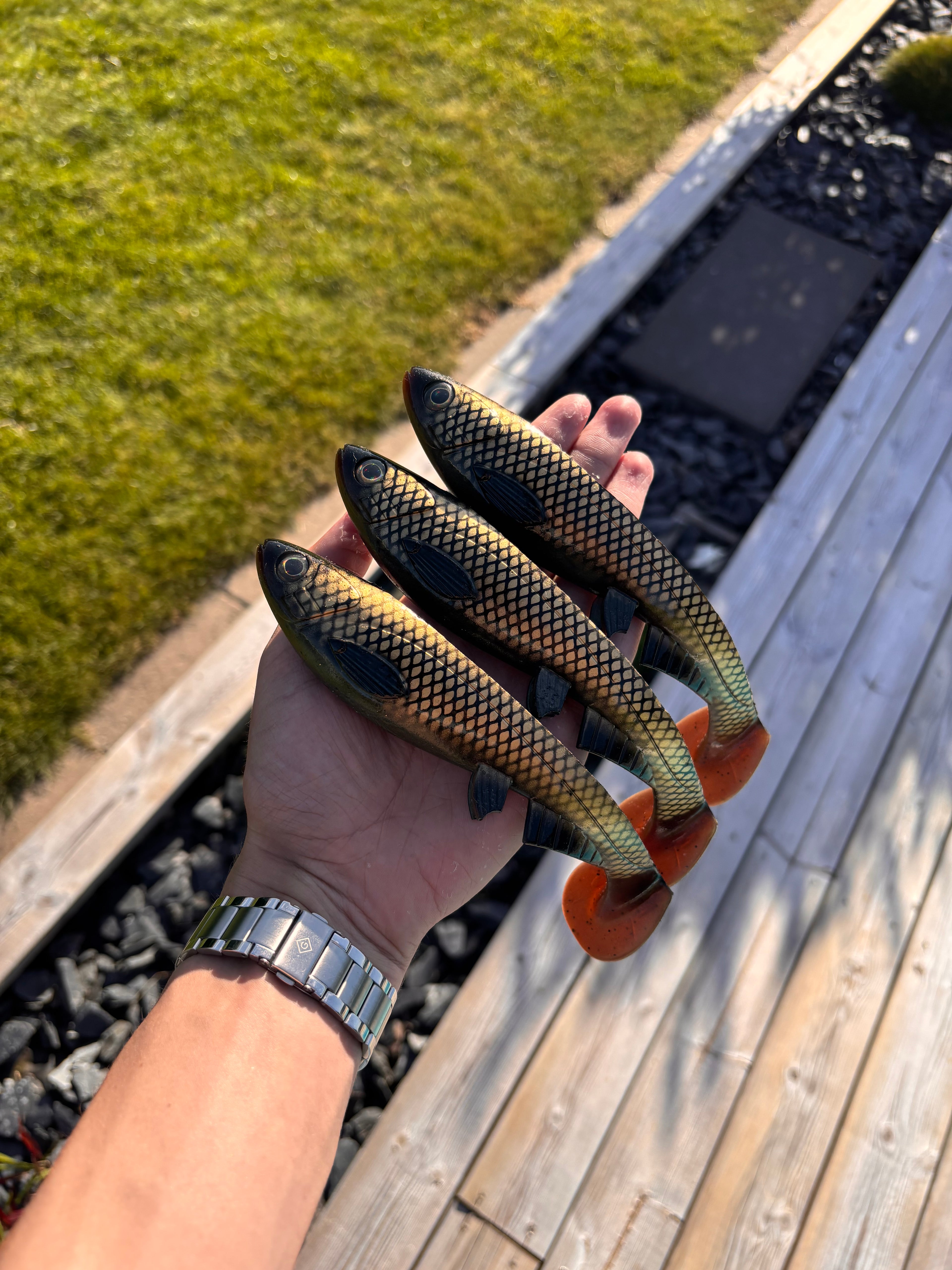 Jolt (Bream)