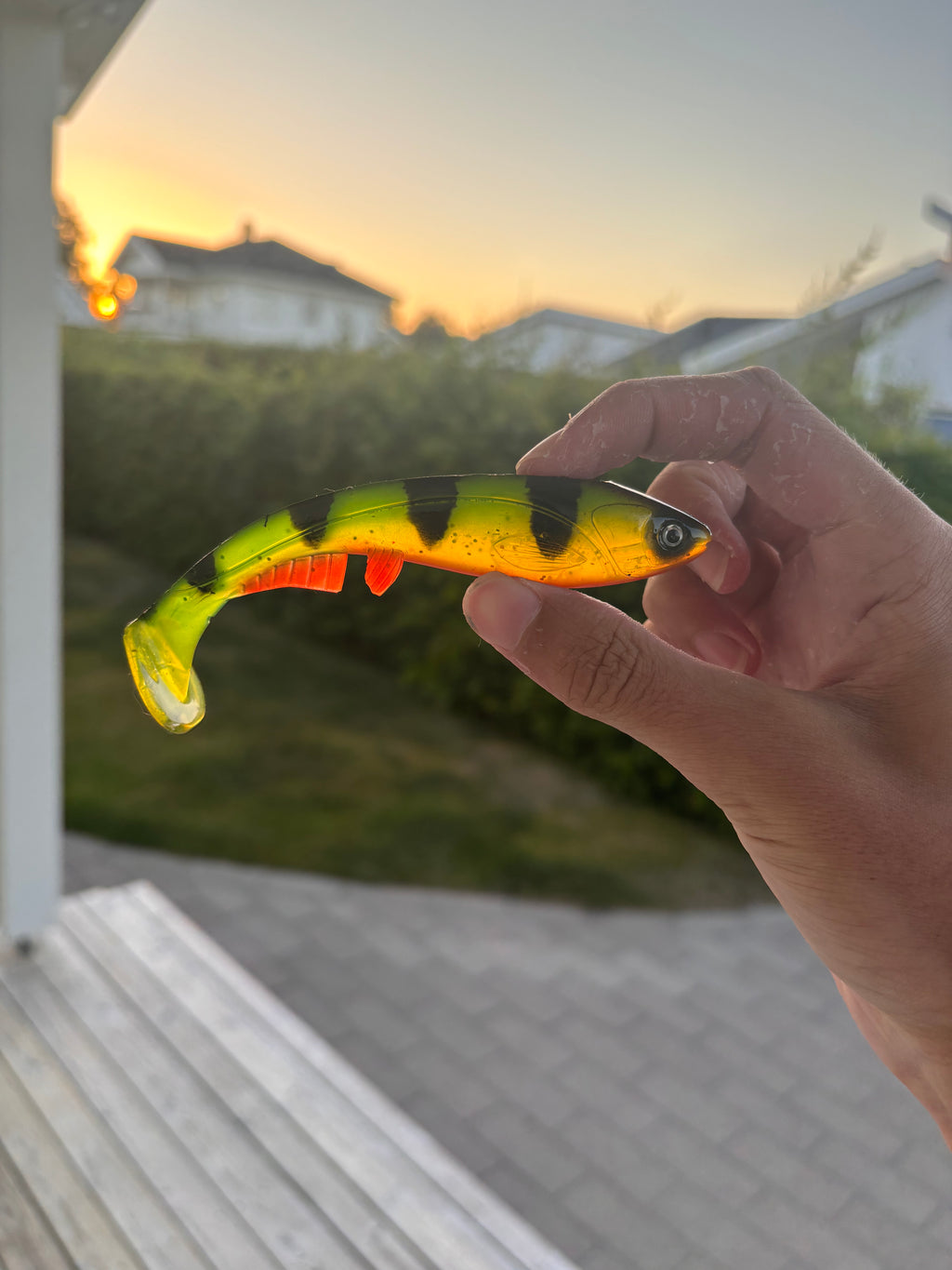 Jolt Mini (Toxic Perch)