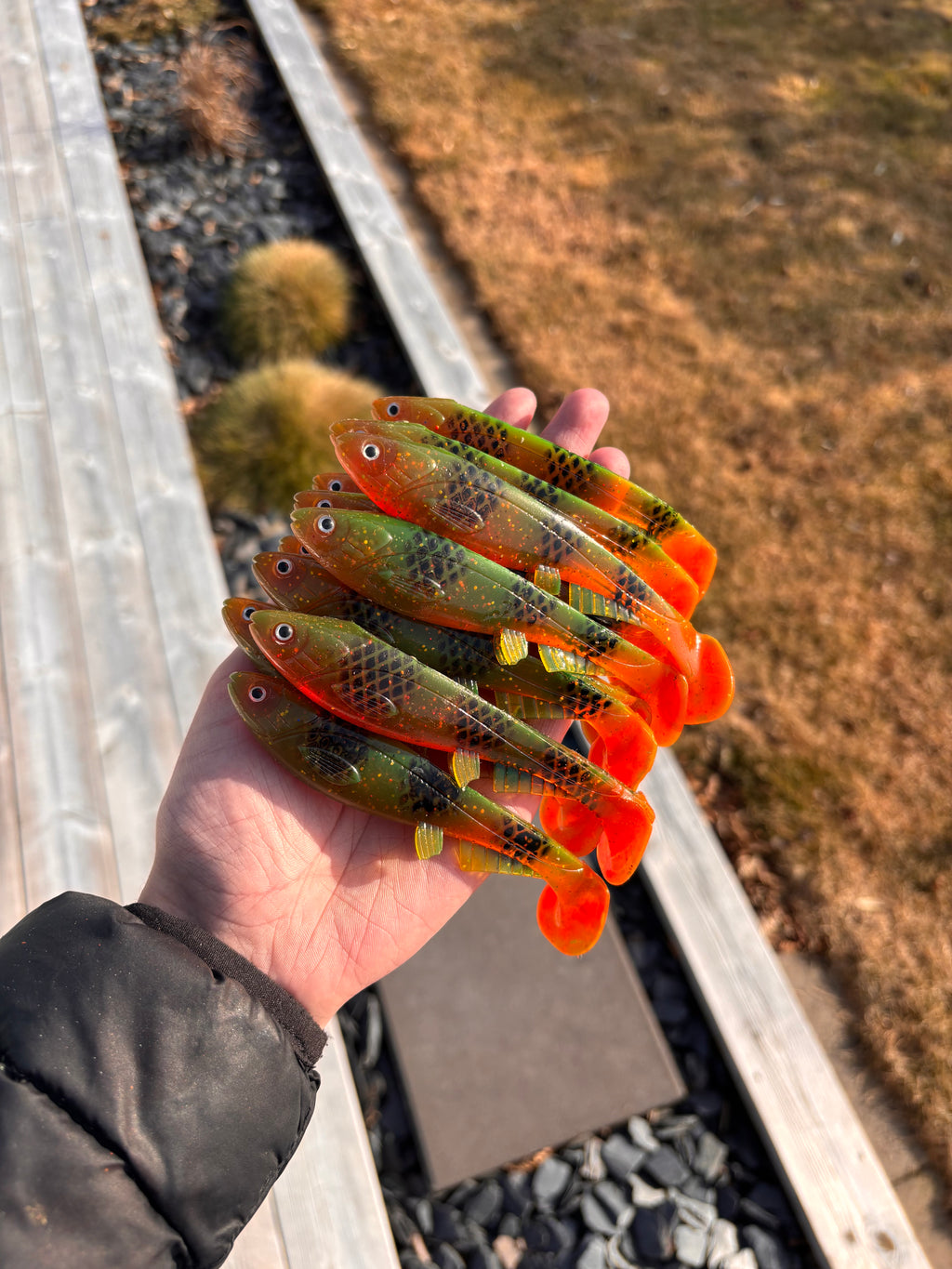 Jolt Mini (Hot Perch)