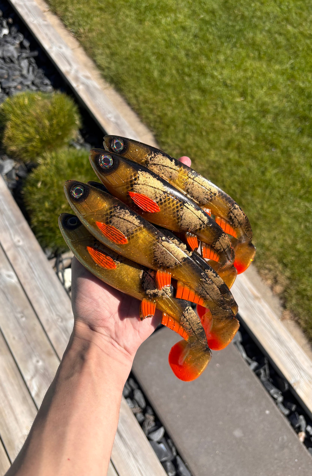 Jolt XL (Spotted Amber)