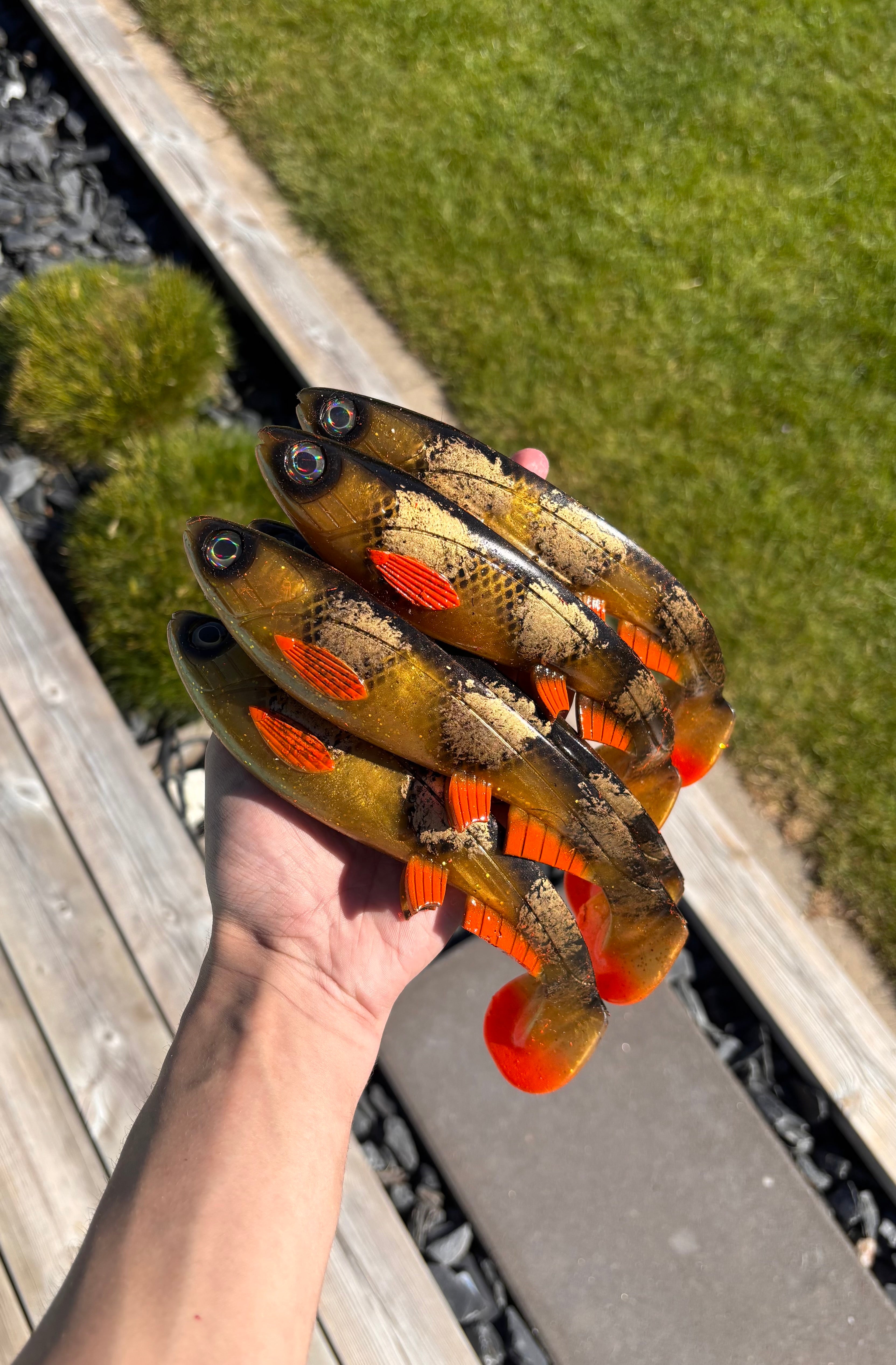 Jolt XL (Spotted Amber)