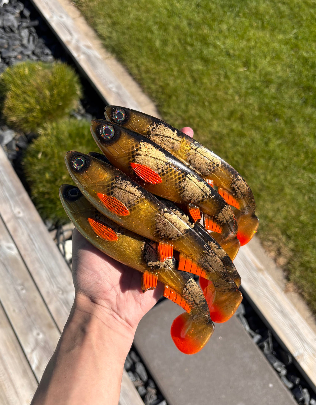 Jolt XL (Spotted Amber)