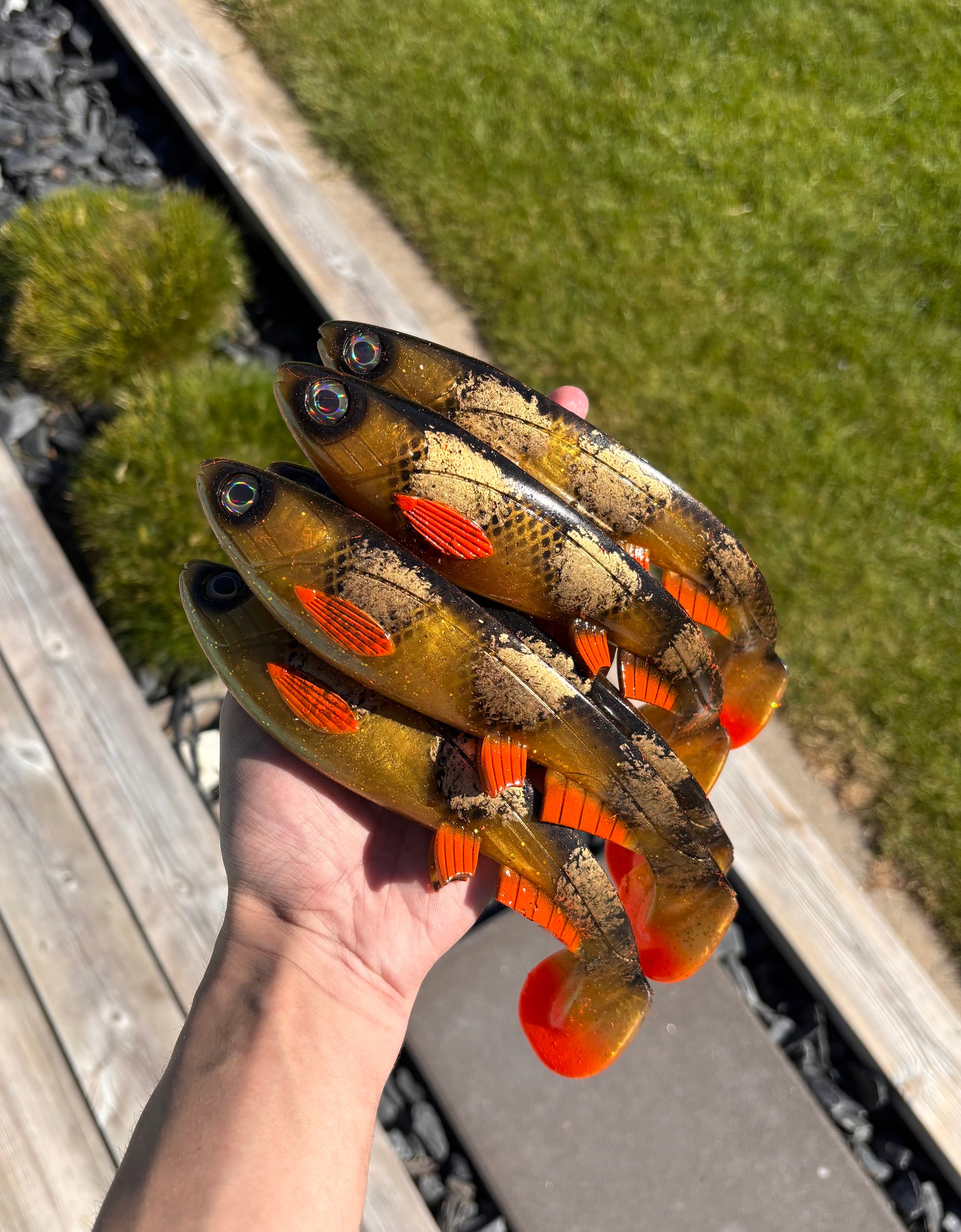 Jolt XL (Spotted Amber)