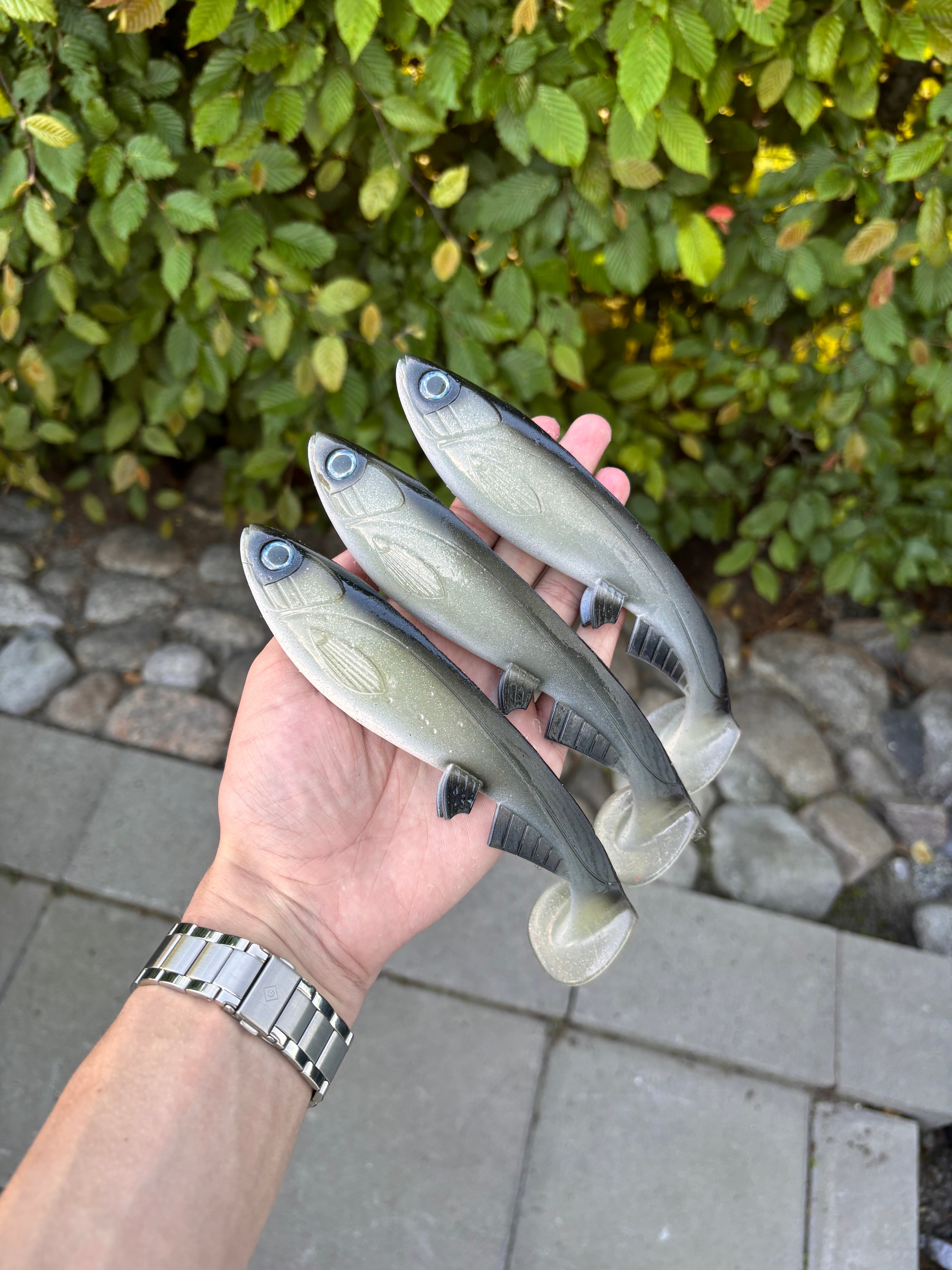 Jolt (Shad)
