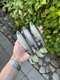 Jolt Tail (Shad)