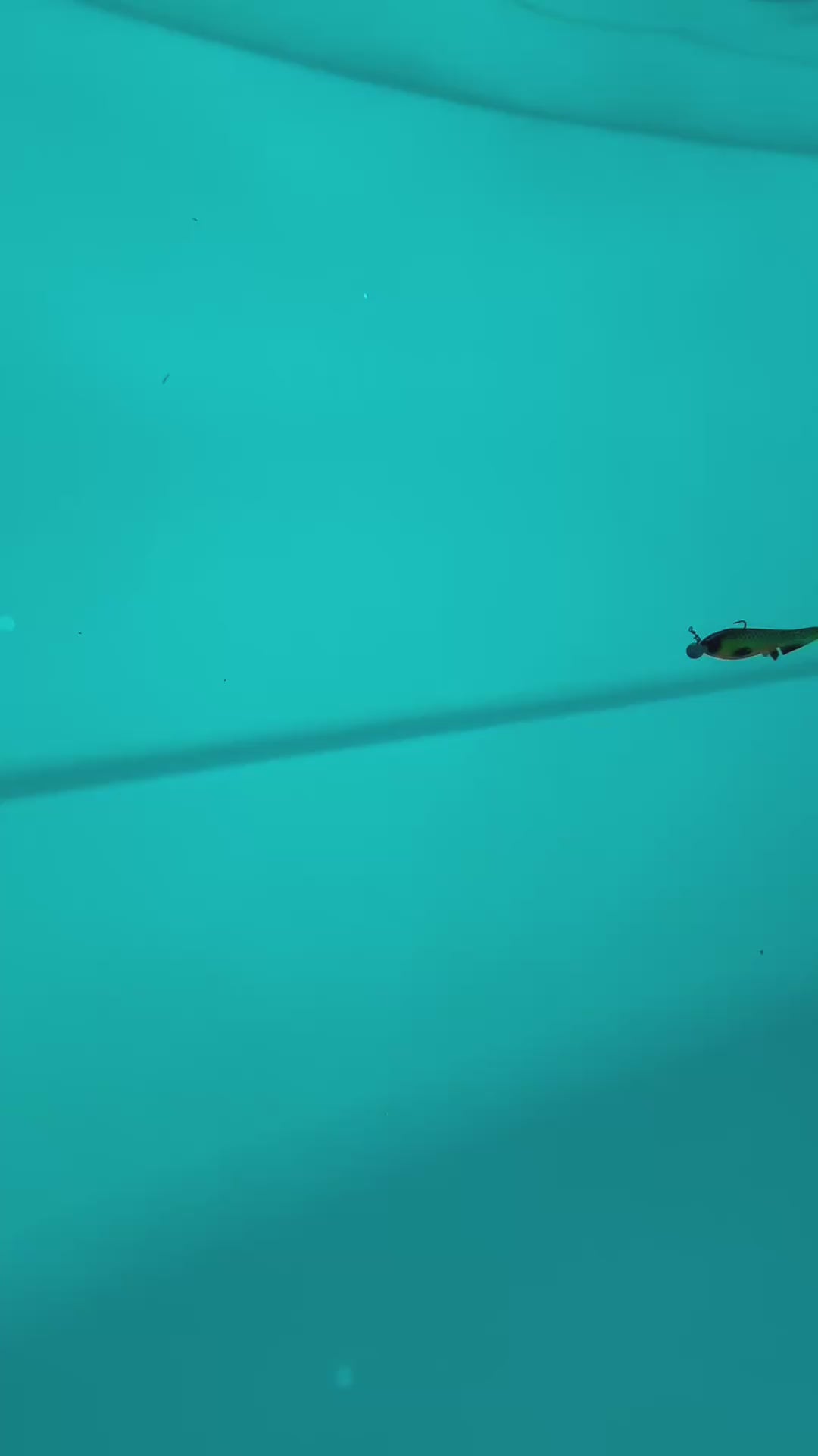 Jolt Mini (Hot Perch)